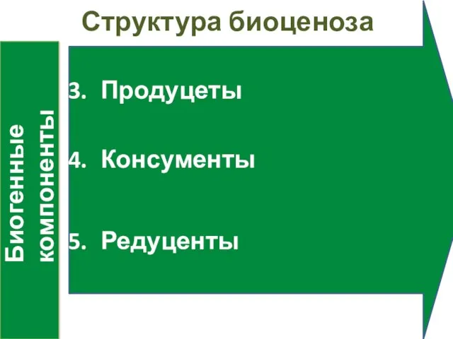 Структура биоценоза Биогенные компоненты Продуцеты Консументы Редуценты