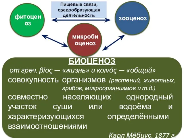 БИОЦЕНОЗ от греч. βίος — «жизнь» и κοινός — «общий» совокупность