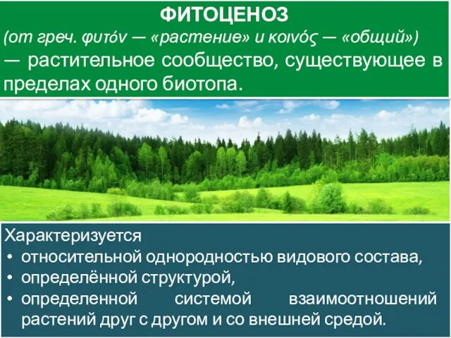 Виды ценозов ФИТОЦЕНОЗ (от греч. φυτóν — «растение» и κοινός —