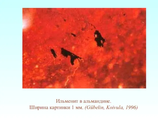 Ильменит в альмандине. Ширина картинки 1 мм. (Gübelin, Koivula, 1996)