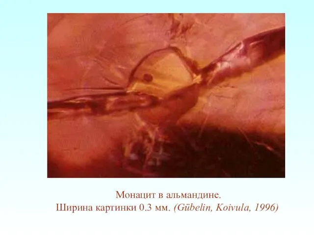 Монацит в альмандине. Ширина картинки 0.3 мм. (Gübelin, Koivula, 1996)