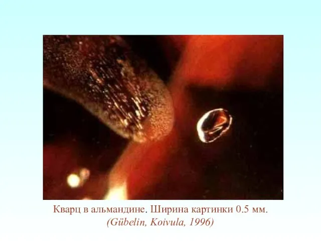 Кварц в альмандине. Ширина картинки 0.5 мм. (Gübelin, Koivula, 1996)