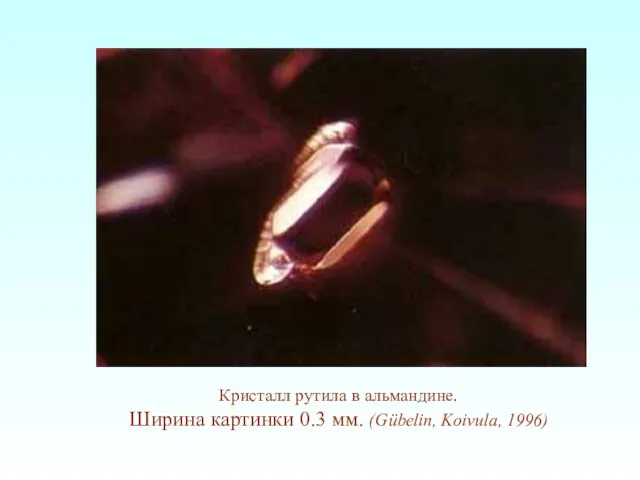 Кристалл рутила в альмандине. Ширина картинки 0.3 мм. (Gübelin, Koivula, 1996)