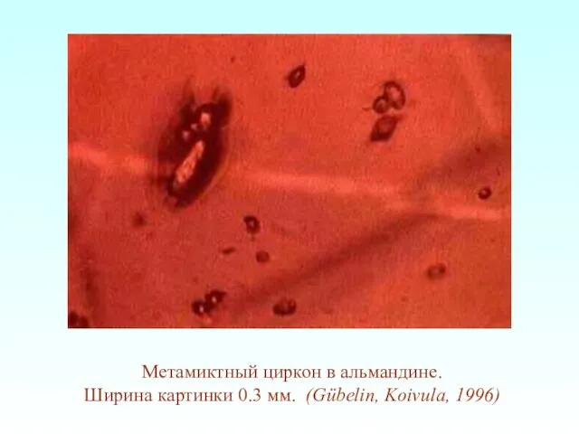 Метамиктный циркон в альмандине. Ширина картинки 0.3 мм. (Gübelin, Koivula, 1996)