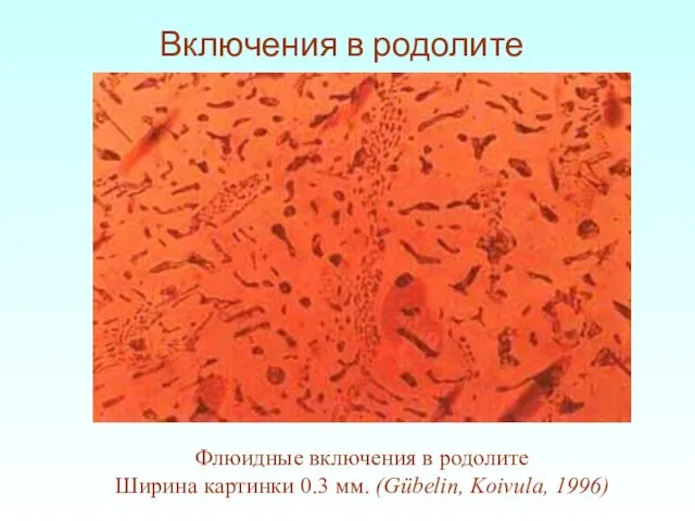 Включения в родолите Флюидные включения в родолите Ширина картинки 0.3 мм. (Gübelin, Koivula, 1996)