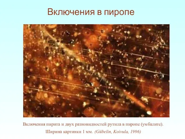 Включения пирита и двух разновидностей рутила в пиропе (умбалите). Ширина картинки