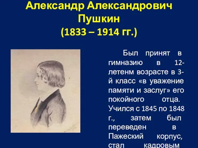 Александр Александрович Пушкин (1833 – 1914 гг.) Был принят в гимназию