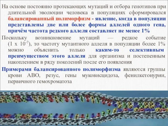 На основе постоянно протекающих мутаций и отбора генотипов при длительной эволюции