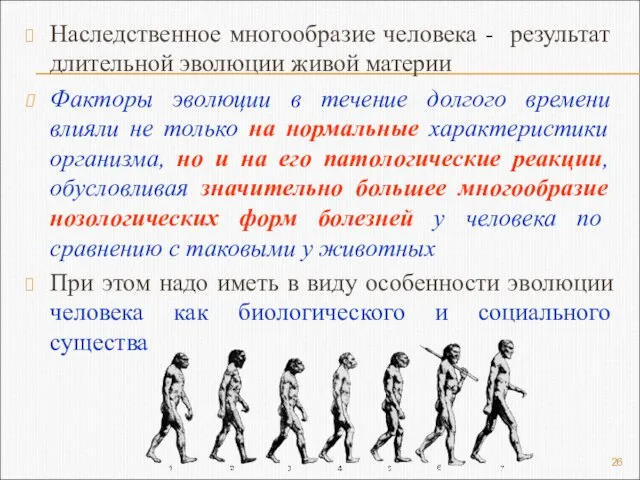 Наследственное многообразие человека - результат длительной эволюции живой материи Факторы эволюции