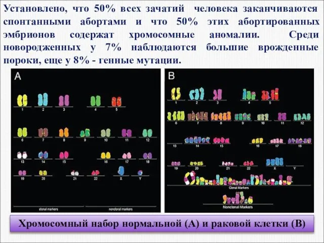 Установлено, что 50% всех зачатий человека заканчиваются спонтанными абортами и что