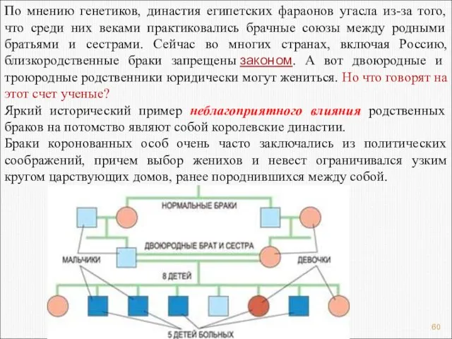 По мнению генетиков, династия египетских фараонов угасла из-за того, что среди