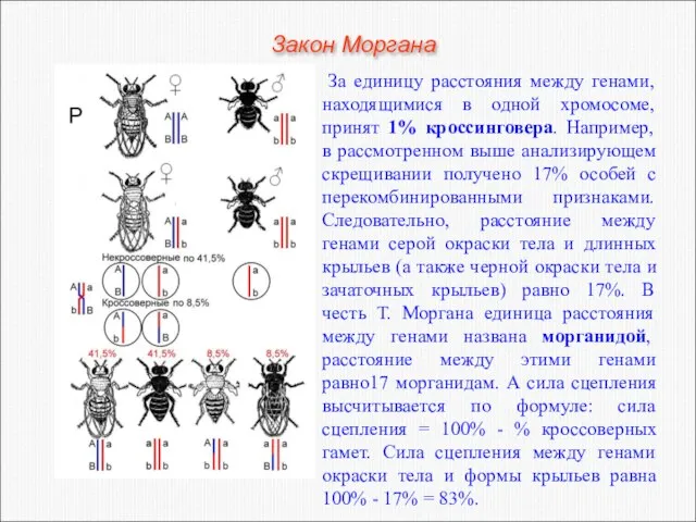 За единицу расстояния между генами, находящимися в одной хромосоме, принят 1%