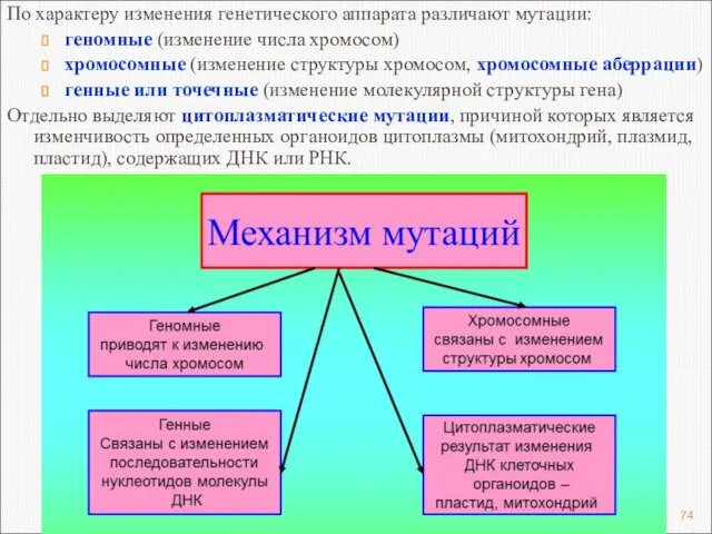 По характеру изменения генетического аппарата различают мутации: геномные (изменение числа хромосом)