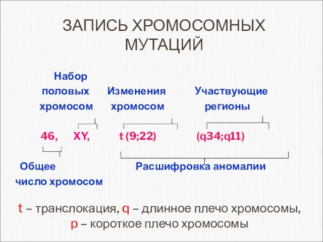 ЗАПИСЬ ХРОМОСОМНЫХ МУТАЦИЙ Набор половых Изменения Участвующие хромосом хромосом регионы 46,