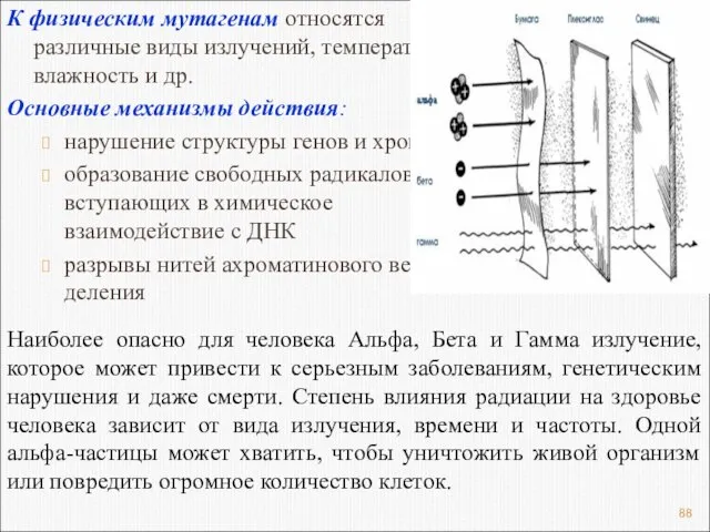 К физическим мутагенам относятся различные виды излучений, температура, влажность и др.