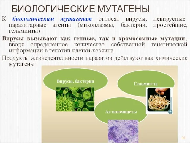 БИОЛОГИЧЕСКИЕ МУТАГЕНЫ К биологическим мутагенам относят вирусы, невирусные паразитарные агенты (микоплазмы,