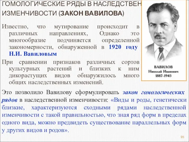 ГОМОЛОГИЧЕСКИЕ РЯДЫ В НАСЛЕДСТВЕННОЙ ИЗМЕНЧИВОСТИ (ЗАКОН ВАВИЛОВА) Известно, что мутирование происходит