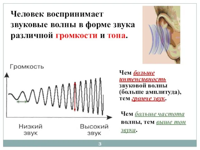 Человек воспринимает звуковые волны в форме звука различной громкости и тона.