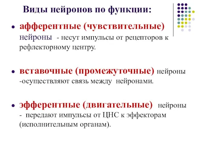 Виды нейронов по функции: афферентные (чувствительные) нейроны - несут импульсы от