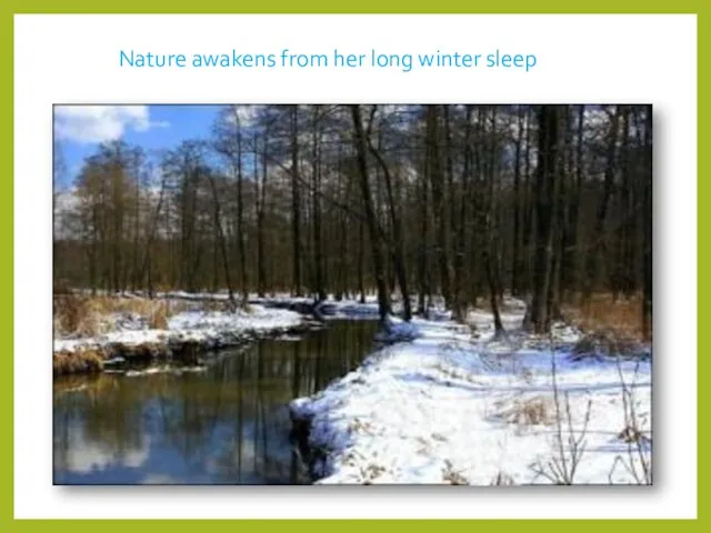 Nature awakens from her long winter sleep