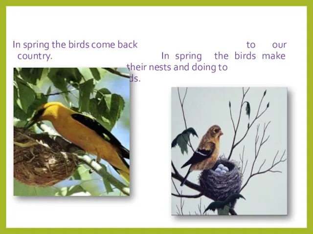 In spring the birds come back to our country. In spring