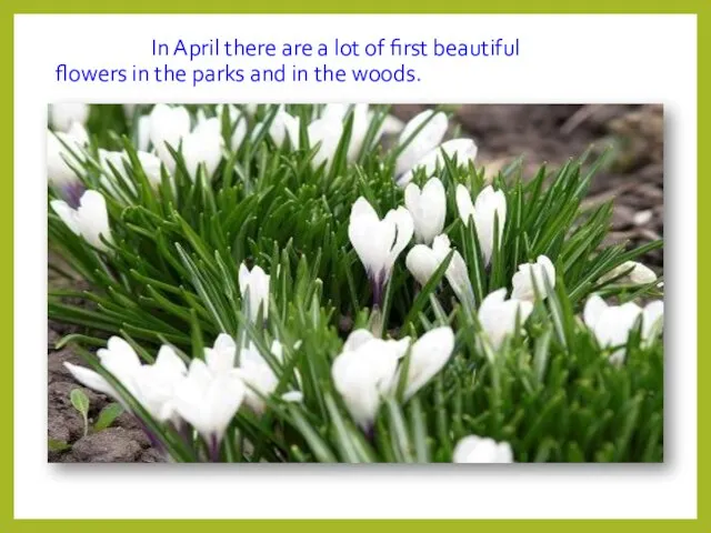 In April there are a lot of first beautiful flowers in