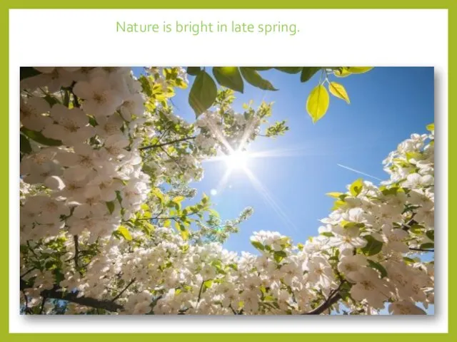 Nature is bright in late spring.