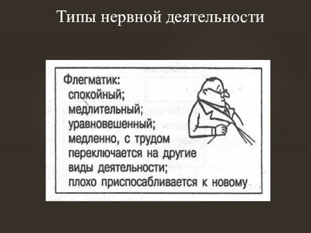 Типы нервной деятельности