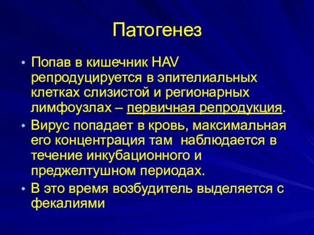 Патогенез Попав в кишечник HAV репродуцируется в эпителиальных клетках слизистой и