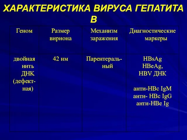 ХАРАКТЕРИСТИКА ВИРУСА ГЕПАТИТА B