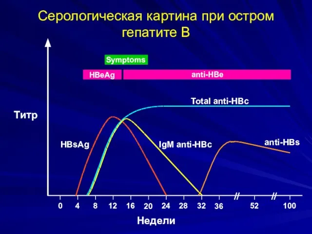 Серологическая картина при остром гепатите В Symptoms HBeAg anti-HBe Total anti-HBc