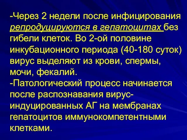 -Через 2 недели после инфицирования репродуцируются в гепатоцитах без гибели клеток.