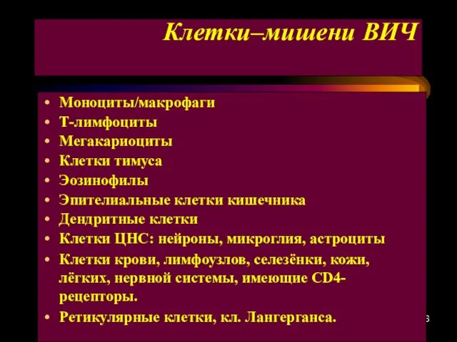 Клетки–мишени ВИЧ Моноциты/макрофаги Т-лимфоциты Мегакариоциты Клетки тимуса Эозинофилы Эпителиальные клетки кишечника