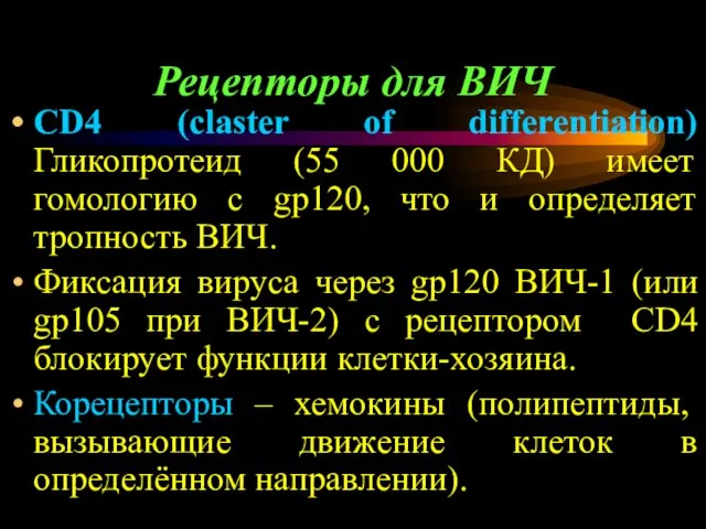 Рецепторы для ВИЧ CD4 (claster of differentiation) Гликопротеид (55 000 КД)