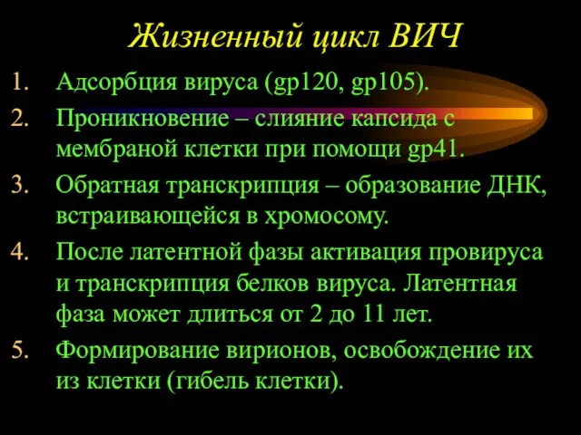 Жизненный цикл ВИЧ Адсорбция вируса (gp120, gp105). Проникновение – слияние капсида