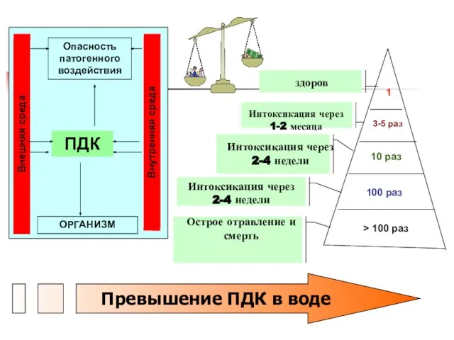 10 раз 1 3-5 раз 100 раз > 100 раз здоров