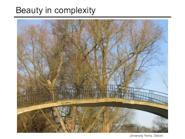 Beauty in complexity University Parks, Oxford