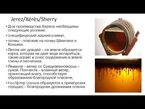 Jerez/Xérès/Sherry Для производства Хереса необходимы следующие условия: специфицеский жаркий климат, почвы