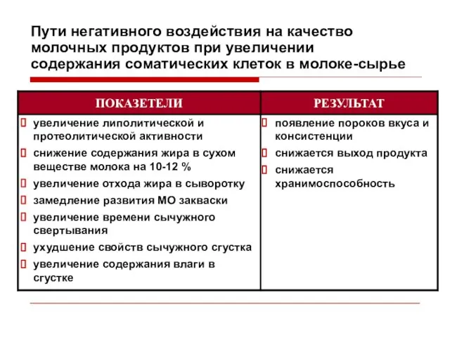 Пути негативного воздействия на качество молочных продуктов при увеличении содержания соматических клеток в молоке-сырье