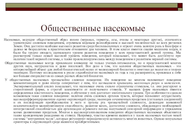 Общественные насекомые Насекомые, ведущие общественный образ жизни (муравьи, термиты, осы, пчелы