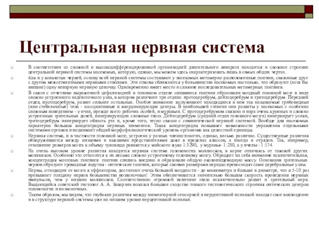 Центральная нервная система В соответствии со сложной и высокодифференцированной организацией двигательного