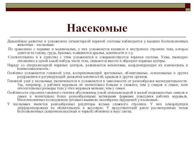 Насекомые Дальнейшее развитие и усложнение сегментарной нервной системы наблюдается у высших