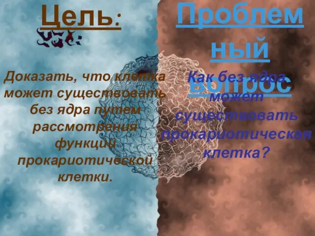 Цель: Доказать, что клетка может существовать без ядра путем рассмотрения функций