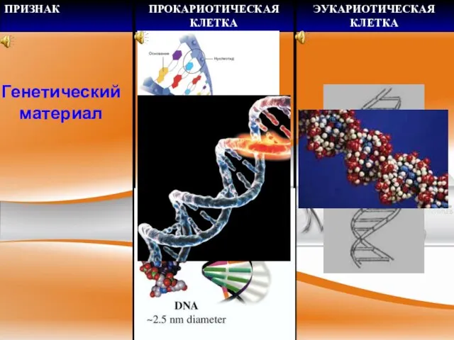 Генетический материал