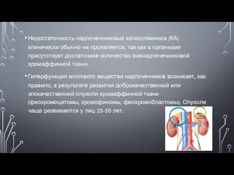 Недостаточность надпочечниковых катехоламинов (КА) клинически обычно не проявляется, так как в