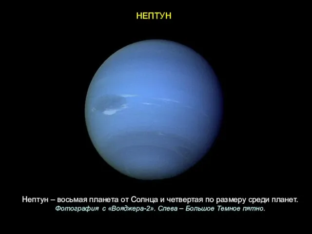 НЕПТУН Нептун – восьмая планета от Солнца и четвертая по размеру