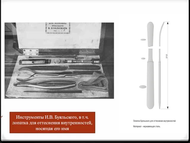 Инструменты И.В. Буяльского, в т.ч. лопатка для оттеснения внутренностей, носящая его имя
