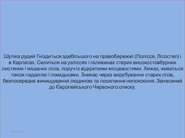 Шуліка рудий Гніздиться здебільшого на правобережжі (Полісся, Лісостеп) і в Карпатах.