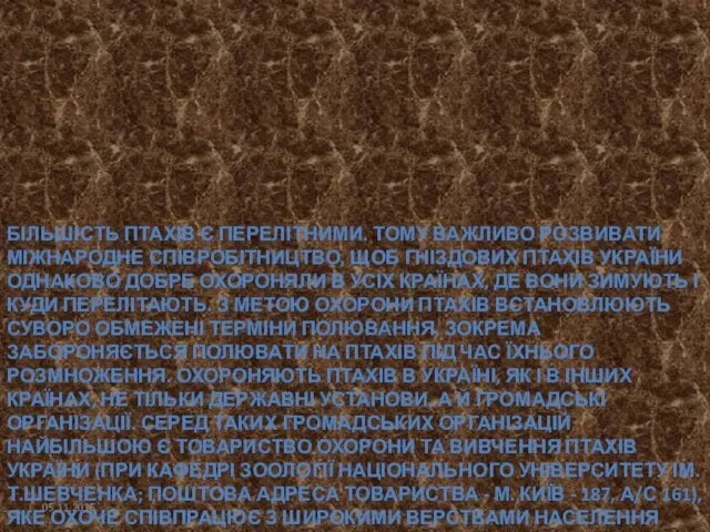 БІЛЬШІСТЬ ПТАХІВ Є ПЕРЕЛІТНИМИ. ТОМУ ВАЖЛИВО РОЗВИВАТИ МІЖНАРОДНЕ СПІВРОБІТНИЦТВО, ЩОБ ГНІЗДОВИХ