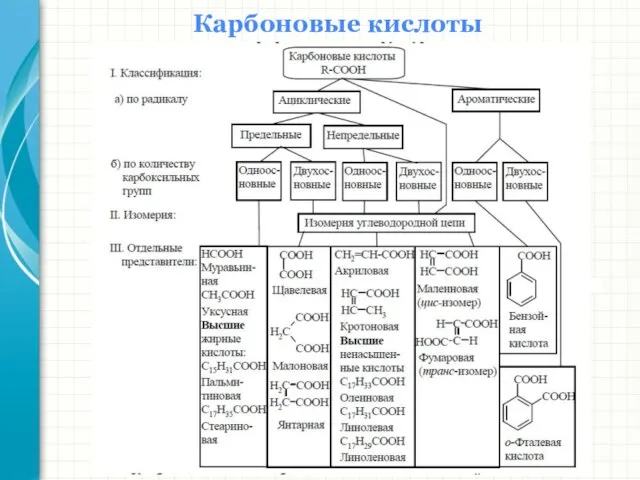 Карбоновые кислоты